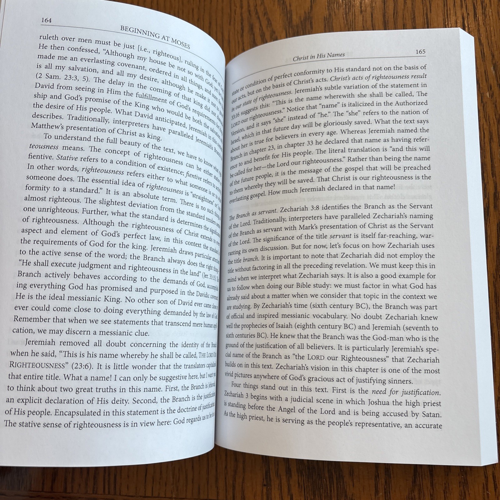 Beginning At Moses By Michael P. V. Barrett PB