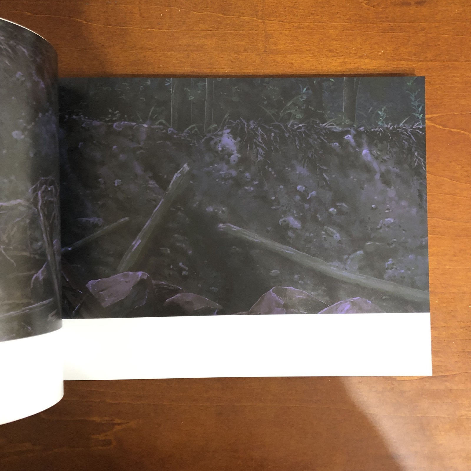 Makoto Shinkai’s work Sparrow’s Door Lock Art Book Illustration