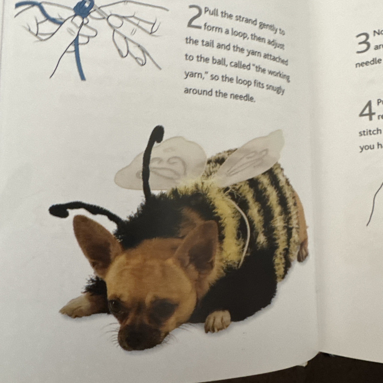 Wacky Doggy Knits (10 Original Patterns For Your…Dog) by Alison Jenkins