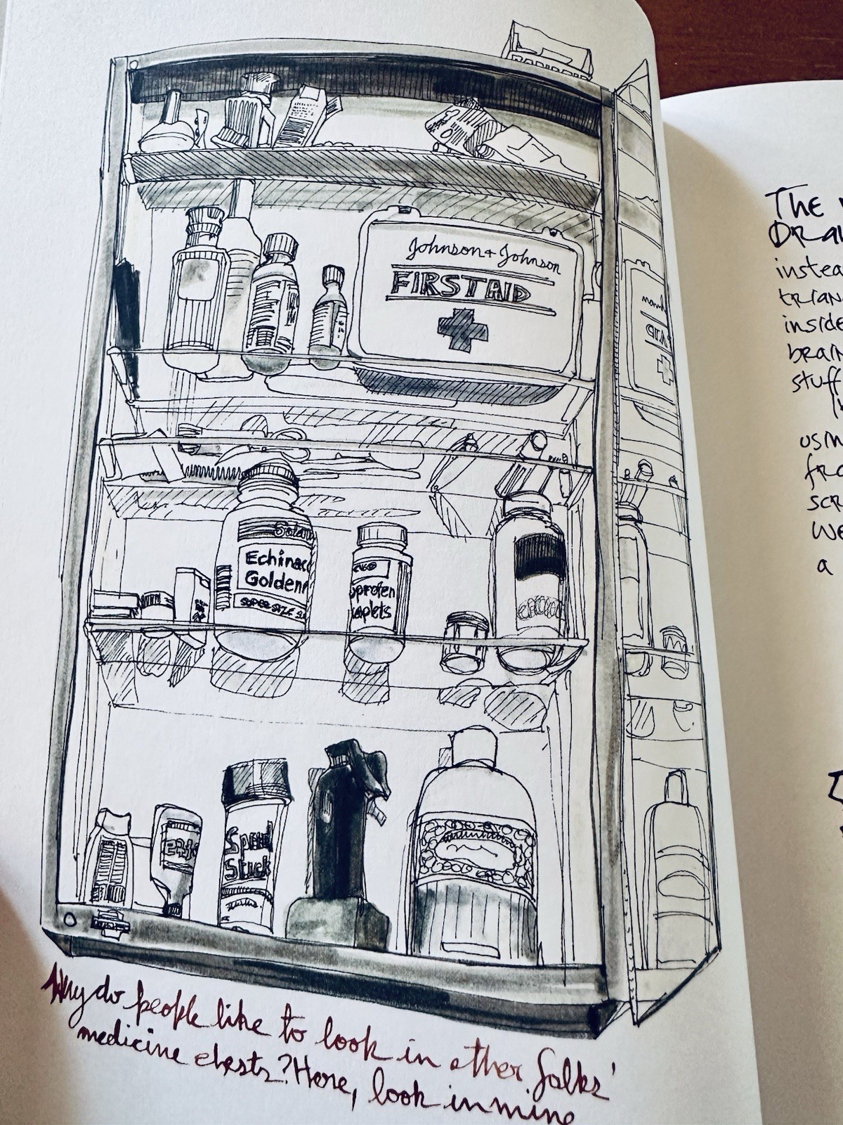 EVERYDAY MATTERS : A New York Diary by Danny Gregory Hardcover (1E/1P)
