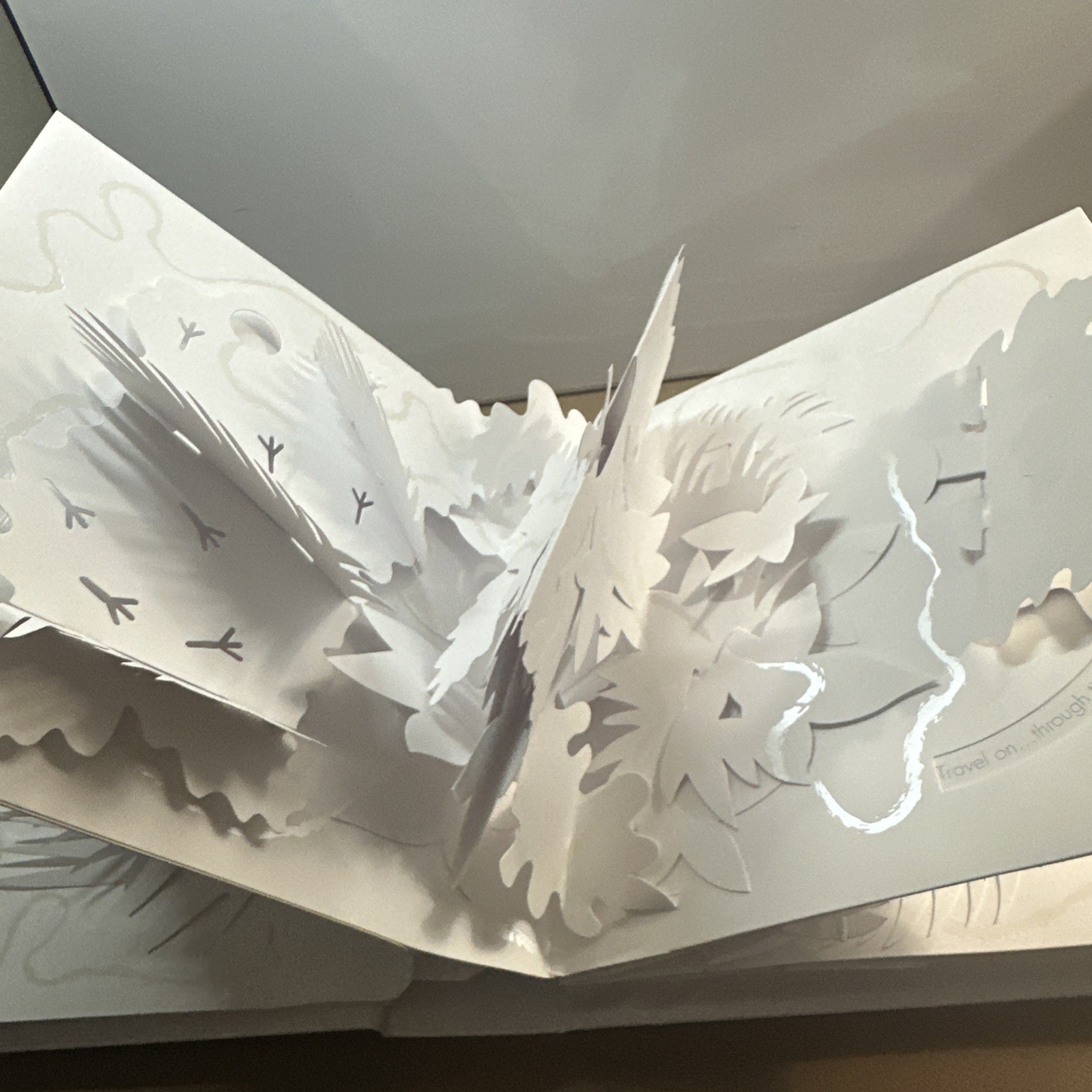 Trail : Paper Poetry by David Pelham (2007, Novelty Book)