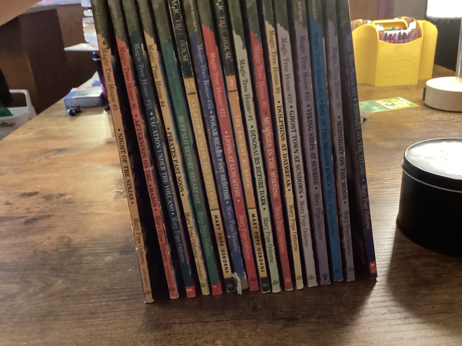 Magic Tree House Mary Pope Osborn Books Lot of 16