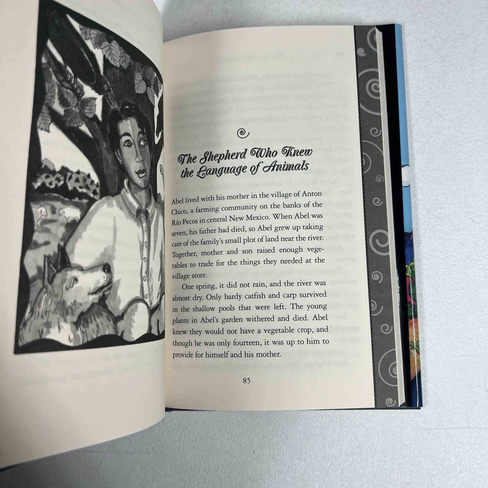 My Land Sings Rudolfo Anaya SIGNED FIRST EDTION Stories from the Rio Grande HC