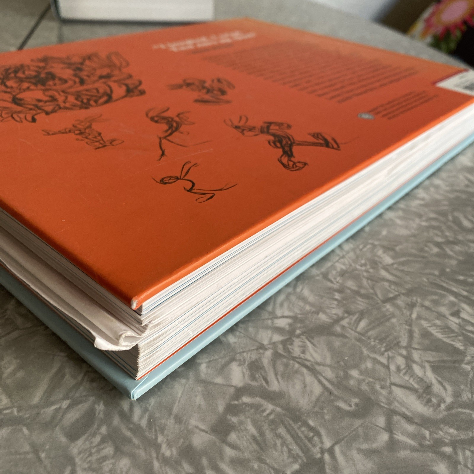 Draw the Looney Tunes: Warner Brothers Character Design Manual First edition