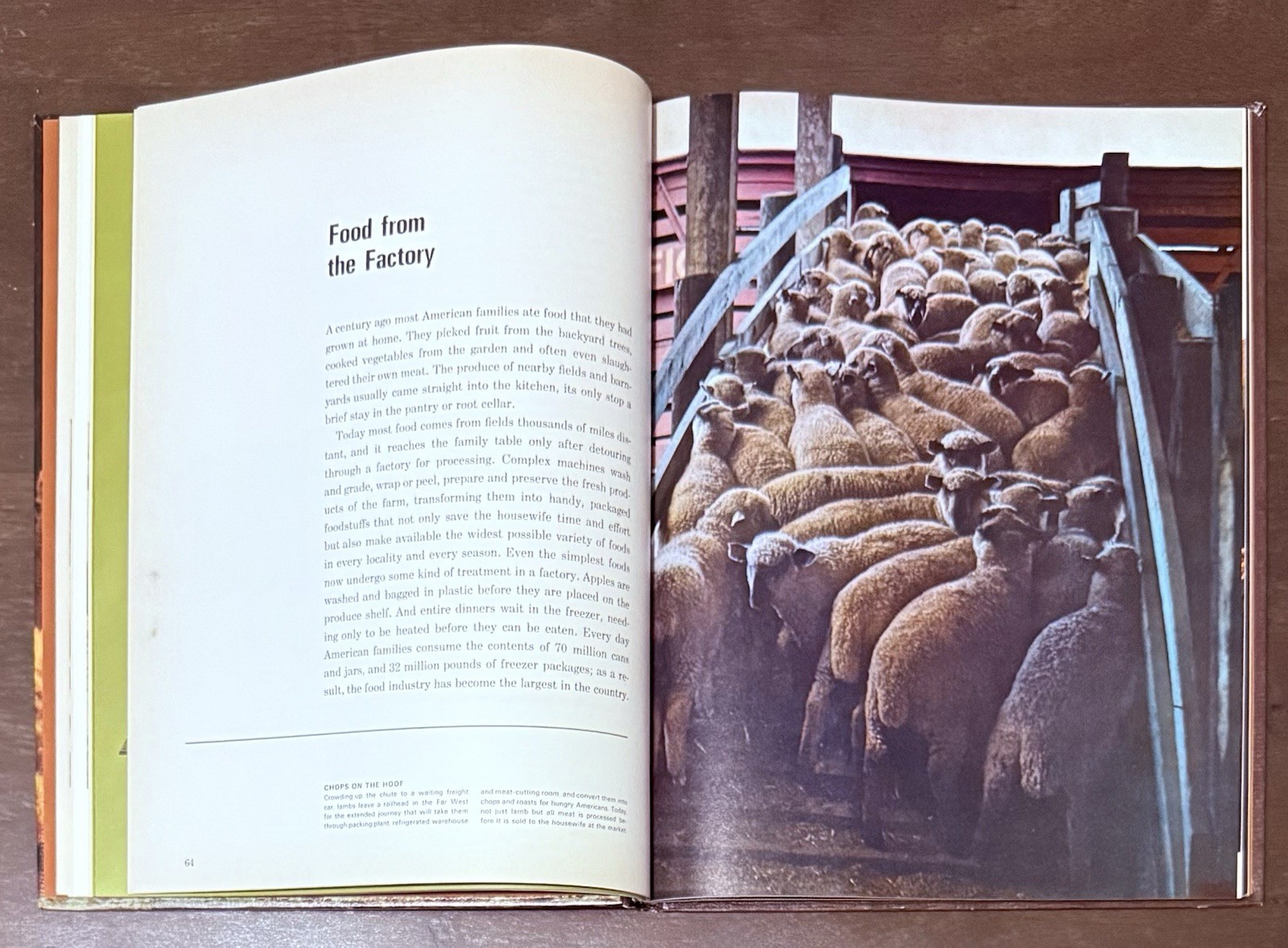 Food & Nutrition by Sebrell Jr & Haggerty, Time Life Science Library. Great Info