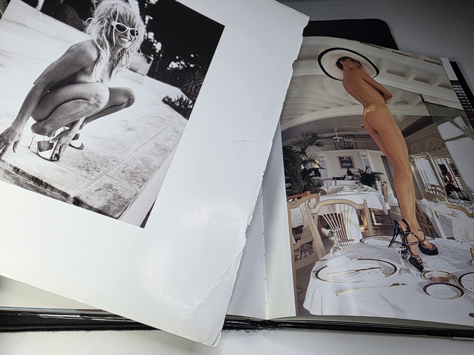 Playboy: the Celebrities by Hugh Hefner (2006, Hardcover) MISSING PAGES ⚠️