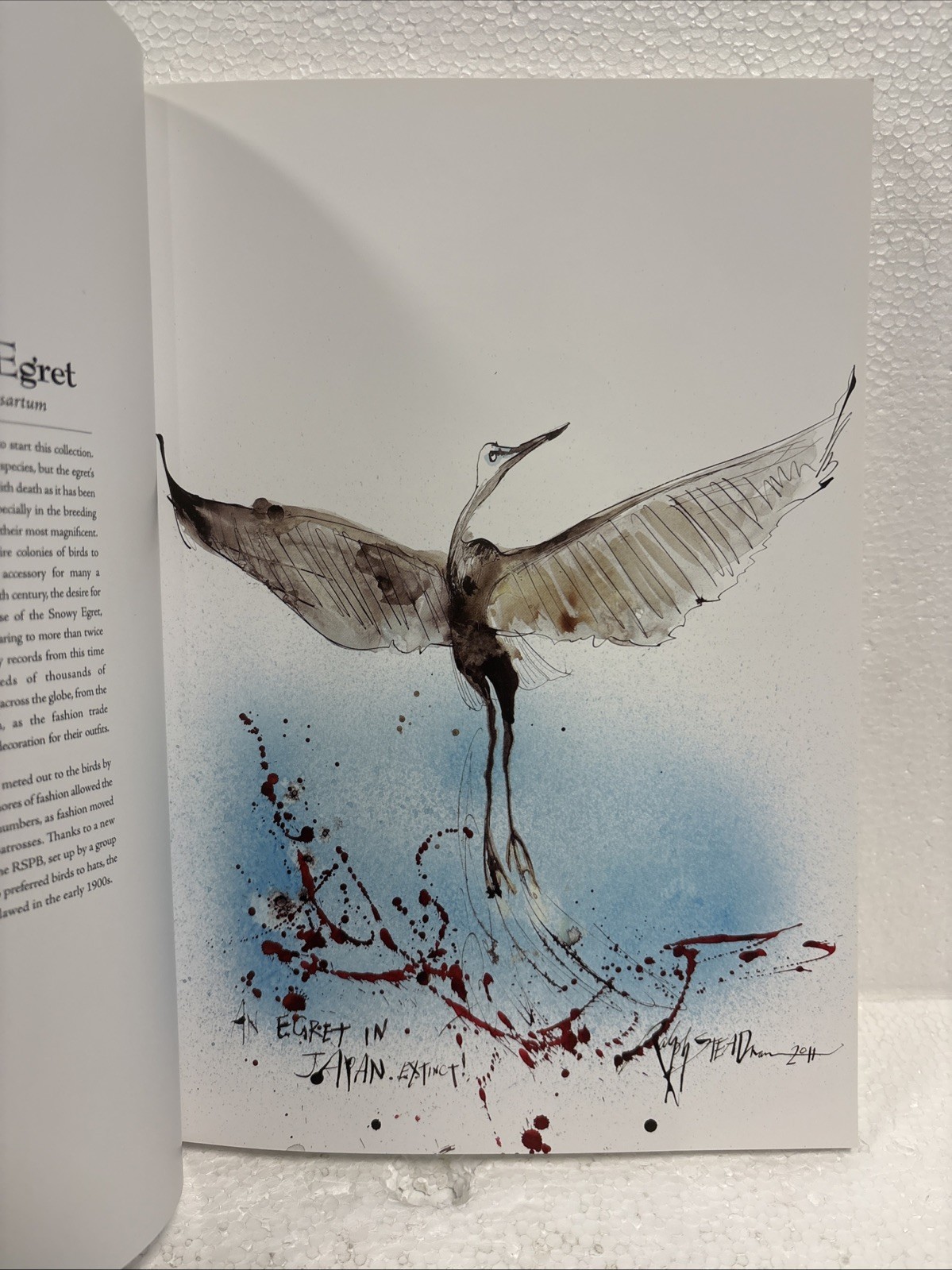 Extinct Boids by Ceri Levy and Ralph Steadman, 2020, First Printing