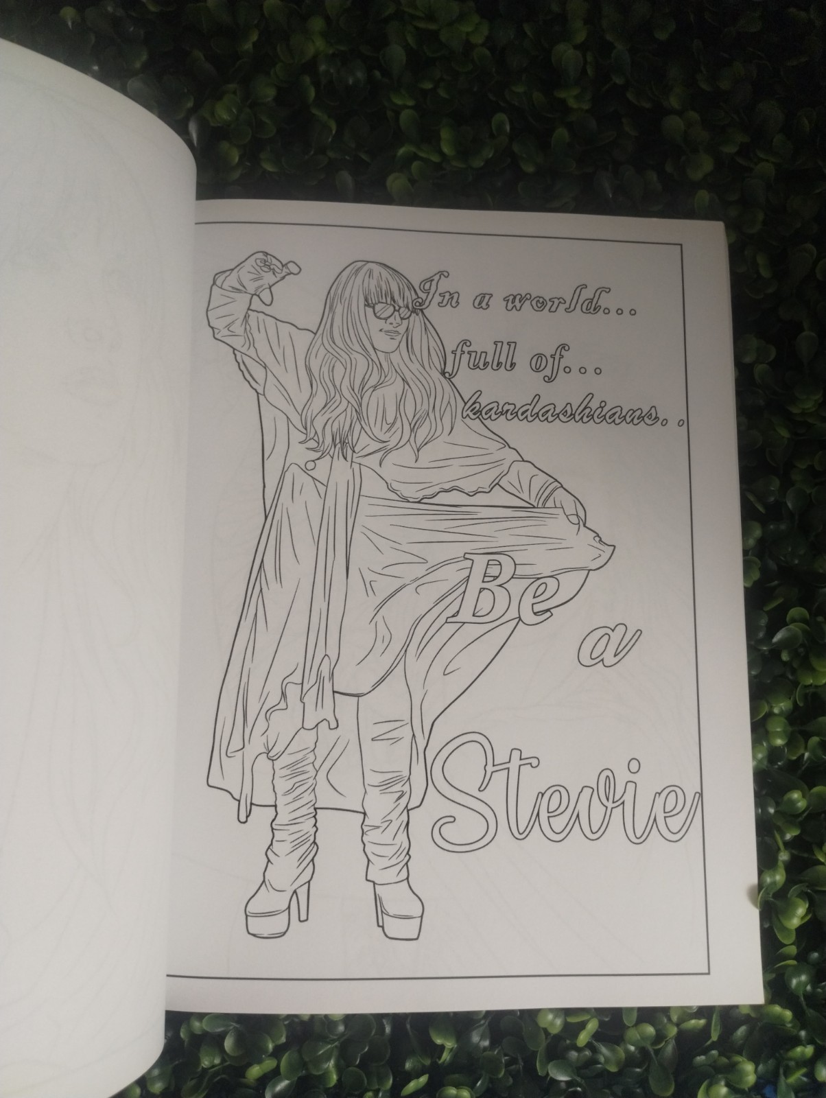 Stevie Nicks Coloring Book: An Cool Coloring Book With Lots Of Stevie Wonder…