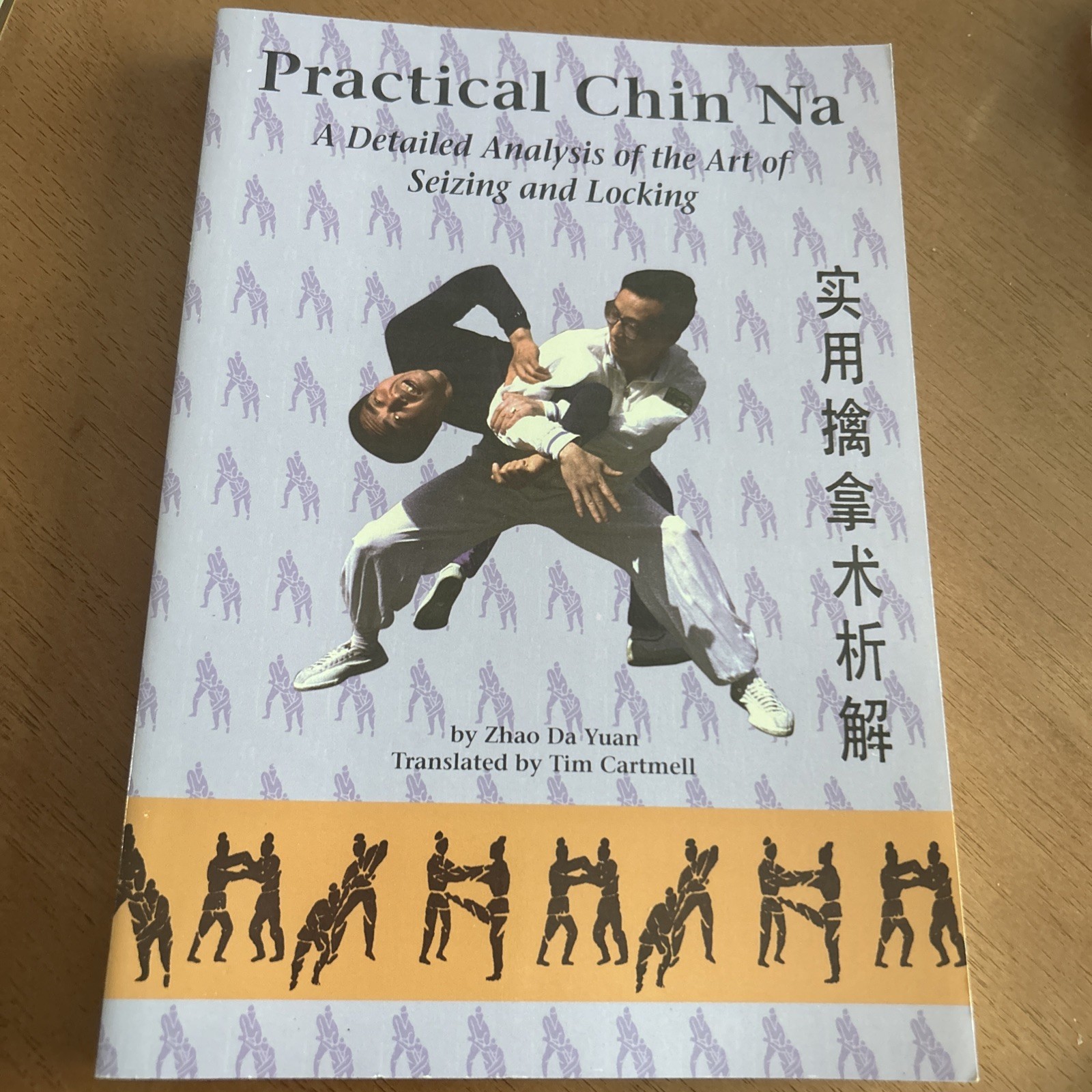 Practical Chin Na: A Detailed Analysis of the Art of Seizing and Locking LK NEW