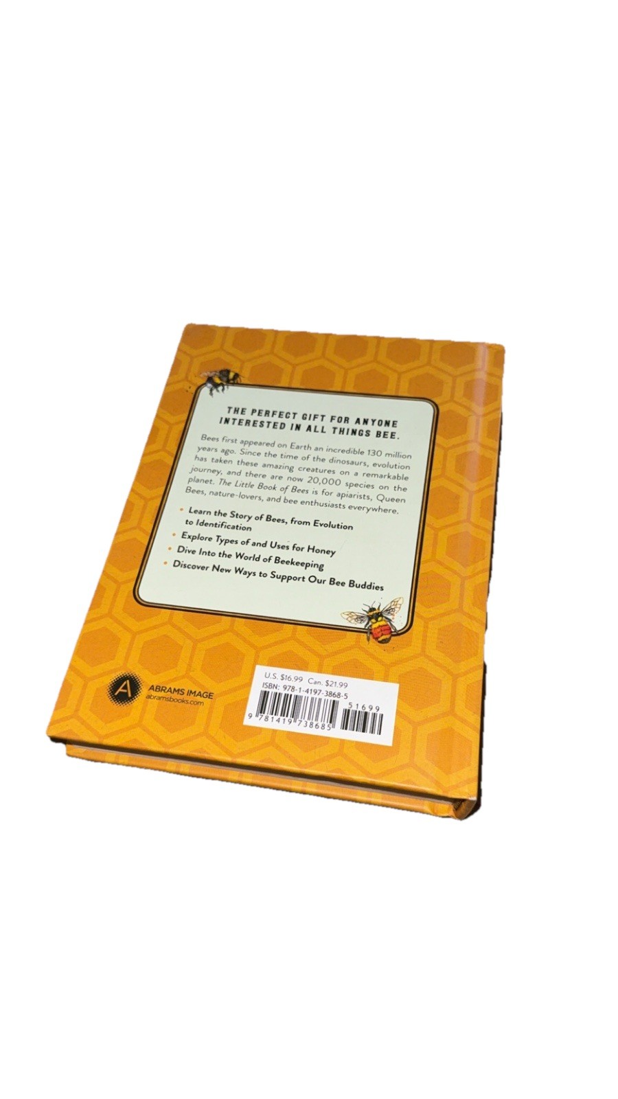 Hilary Kearney The Little Book of Bees Illustrated Guide Hardcover First Edition