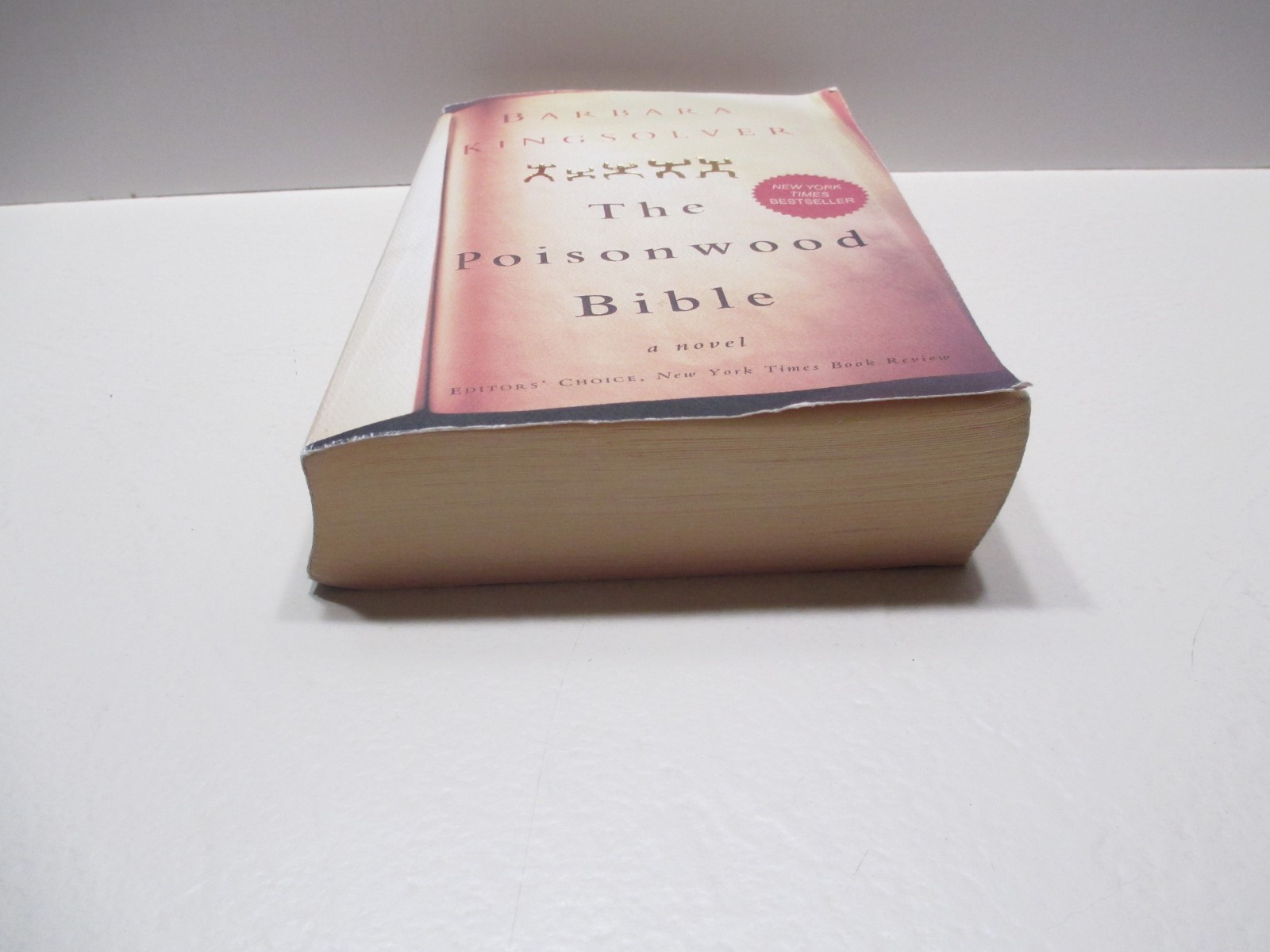 The Poisonwood Bible –