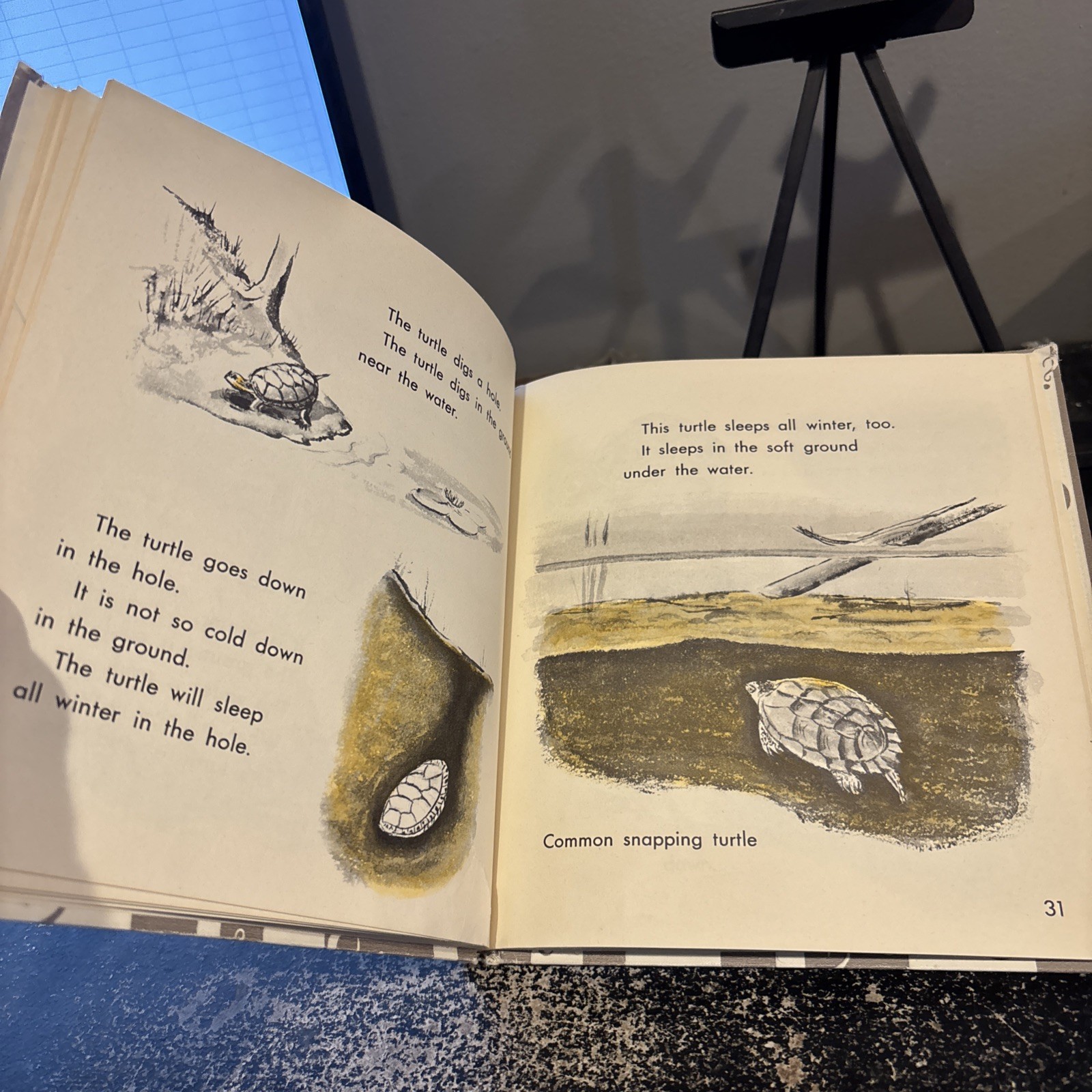 What is a Turtle [Hardcover] Gene Darby and Lucy and John Hawkinson 1959