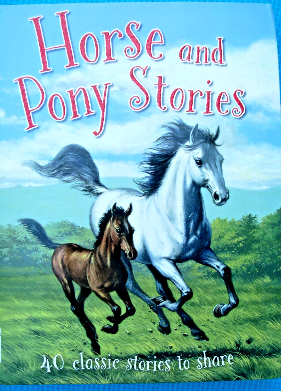 Children’s book Horse and Pony stories 511 pages with illustrations like new