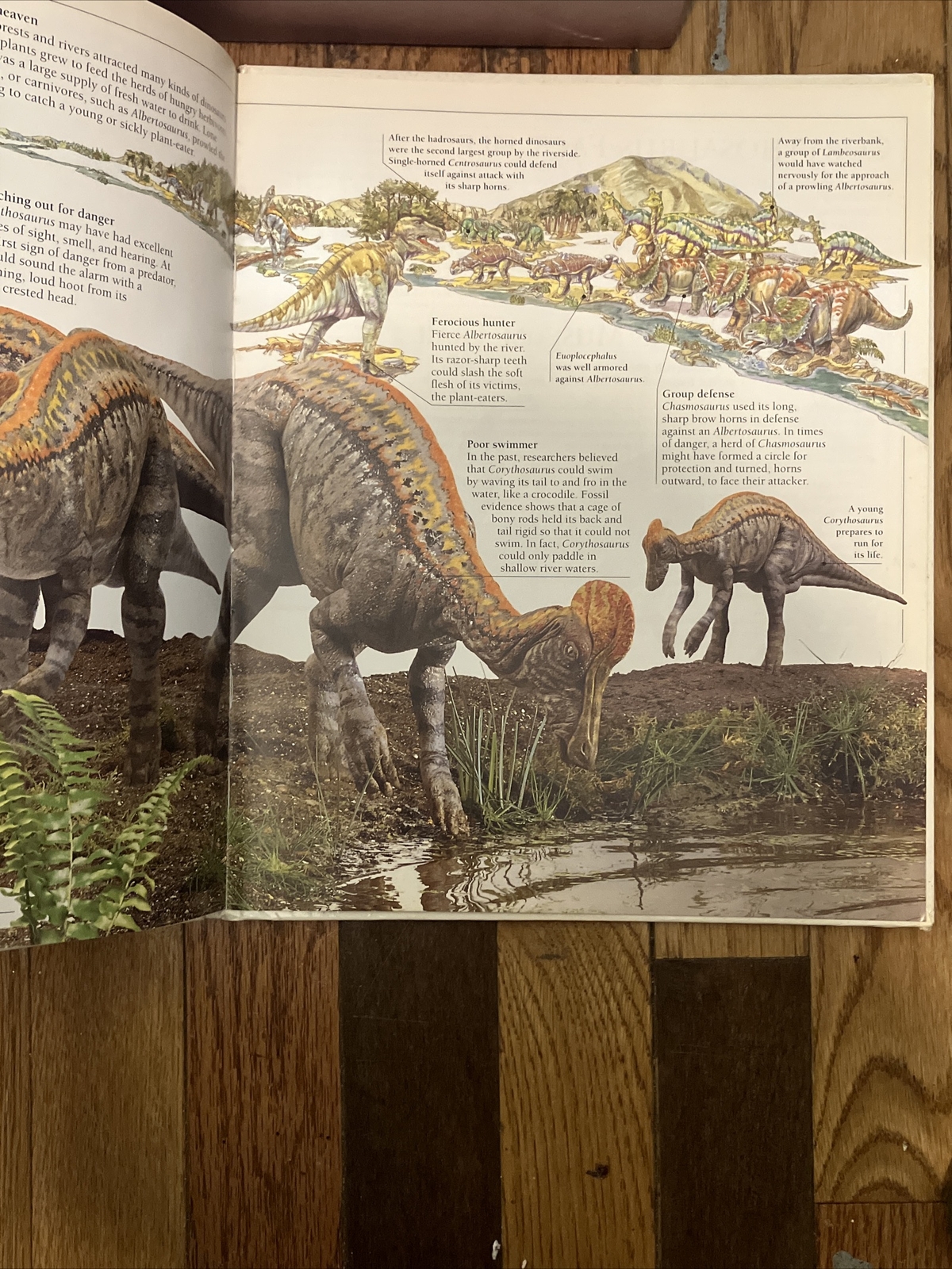 Corythosaurus by William Lindsay 1993 1st Ed. DK Publishers Hardcover