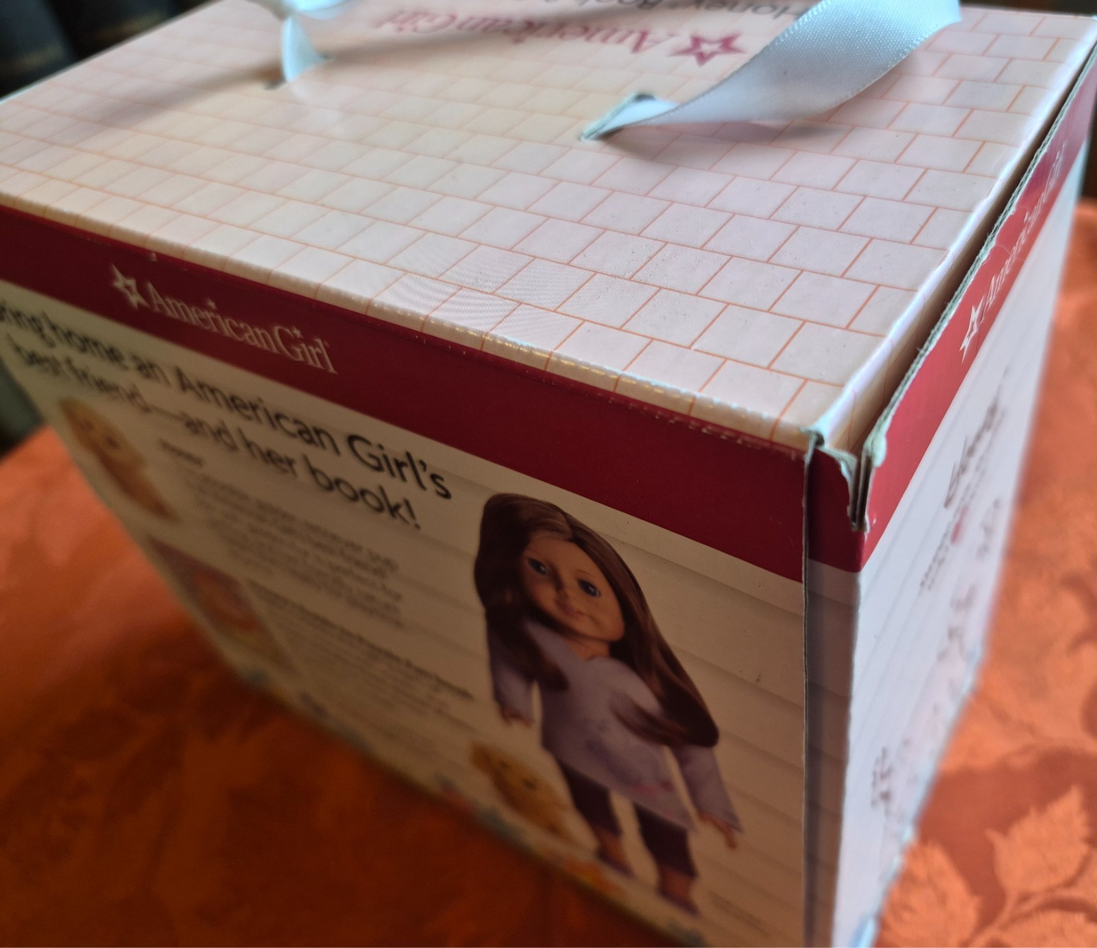 AMERICAN GIRL Honey Book & Pet Pack (book, plush dog) Retired Collectible Toy