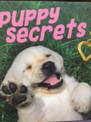 Puppy Secrets by Camilla de la Bedoyere