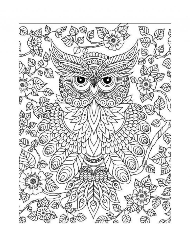 Best Save the Owls Coloring Save the Planet Series 108 Pages 8.5 x 11 All Ages