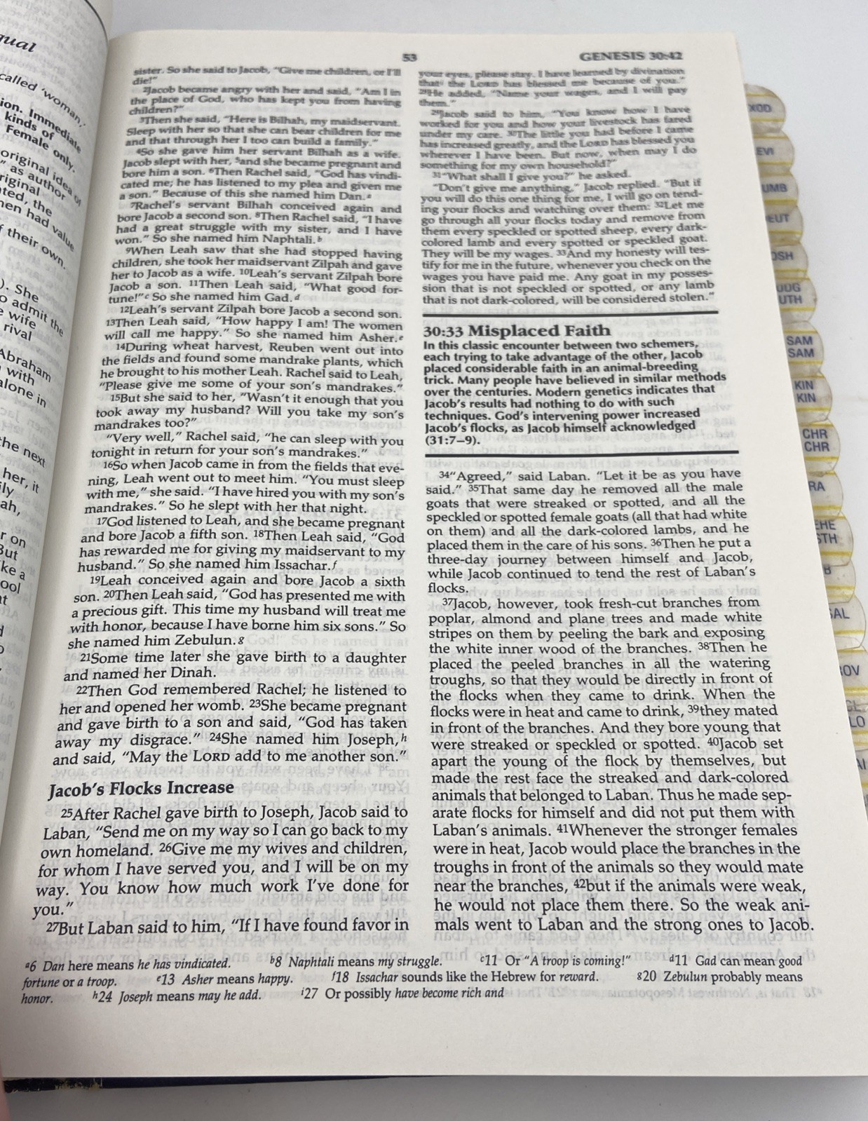 The New Student Bible Expanded and Updated New International Version Hardcover