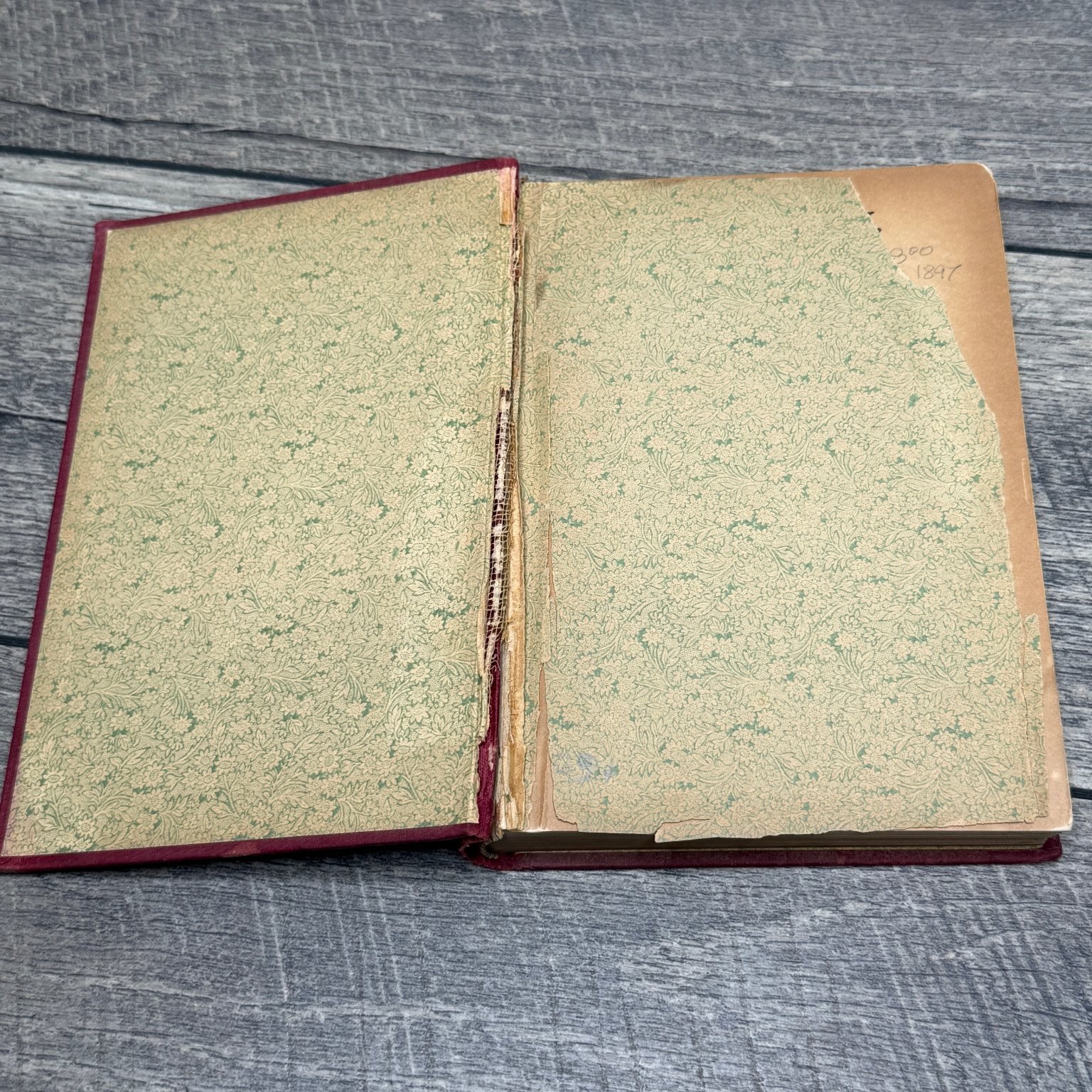 Swine Husbandry F.D. Coburn 1903 Revised Enlarged Illustrated Orange Judd Co.