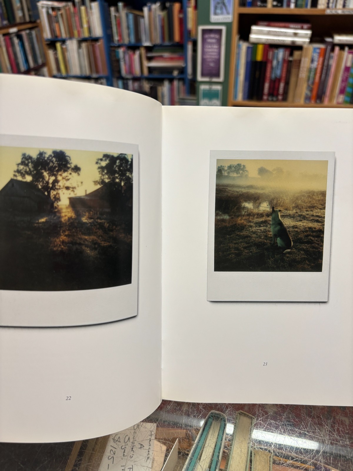 Instant Light Tarkovsky Polaroids photo book 2006. 1st US. Ex-Lib.