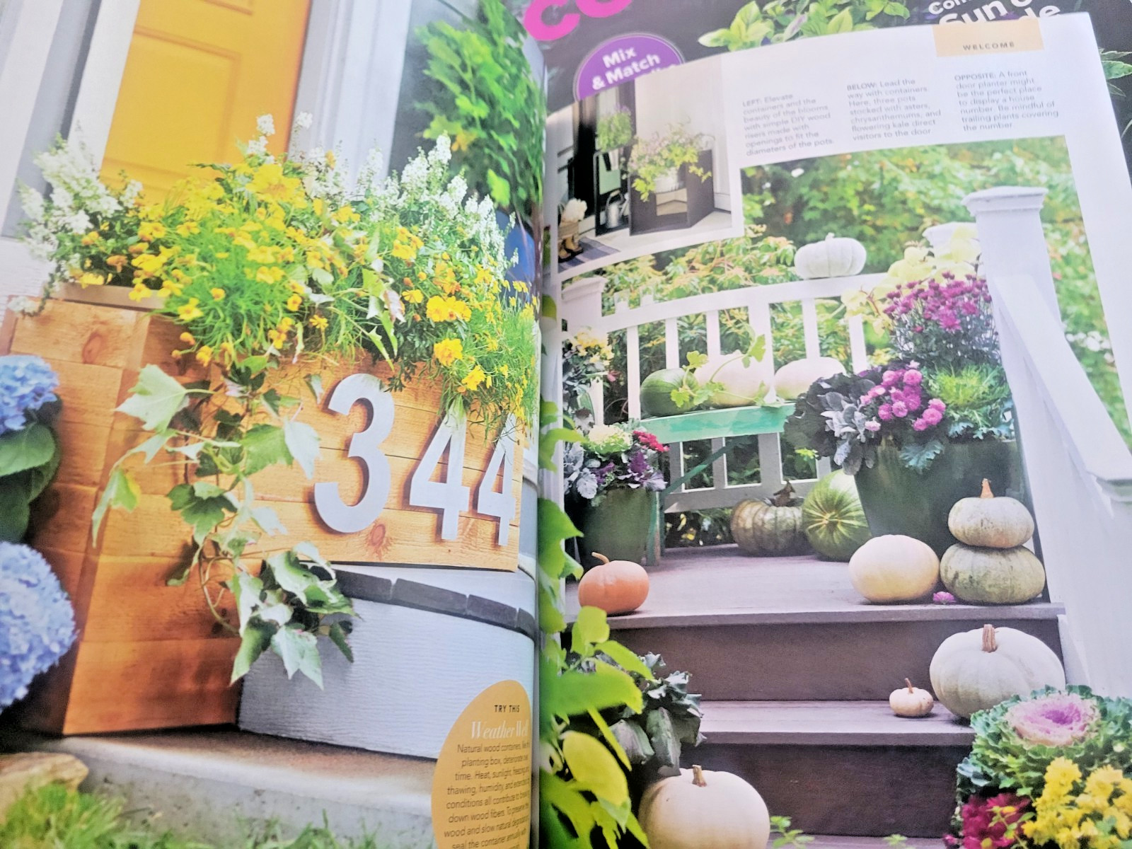 Container Gardening by BH&G – 100 Easy-Care Combos for Sun or Shade- Like A Pro