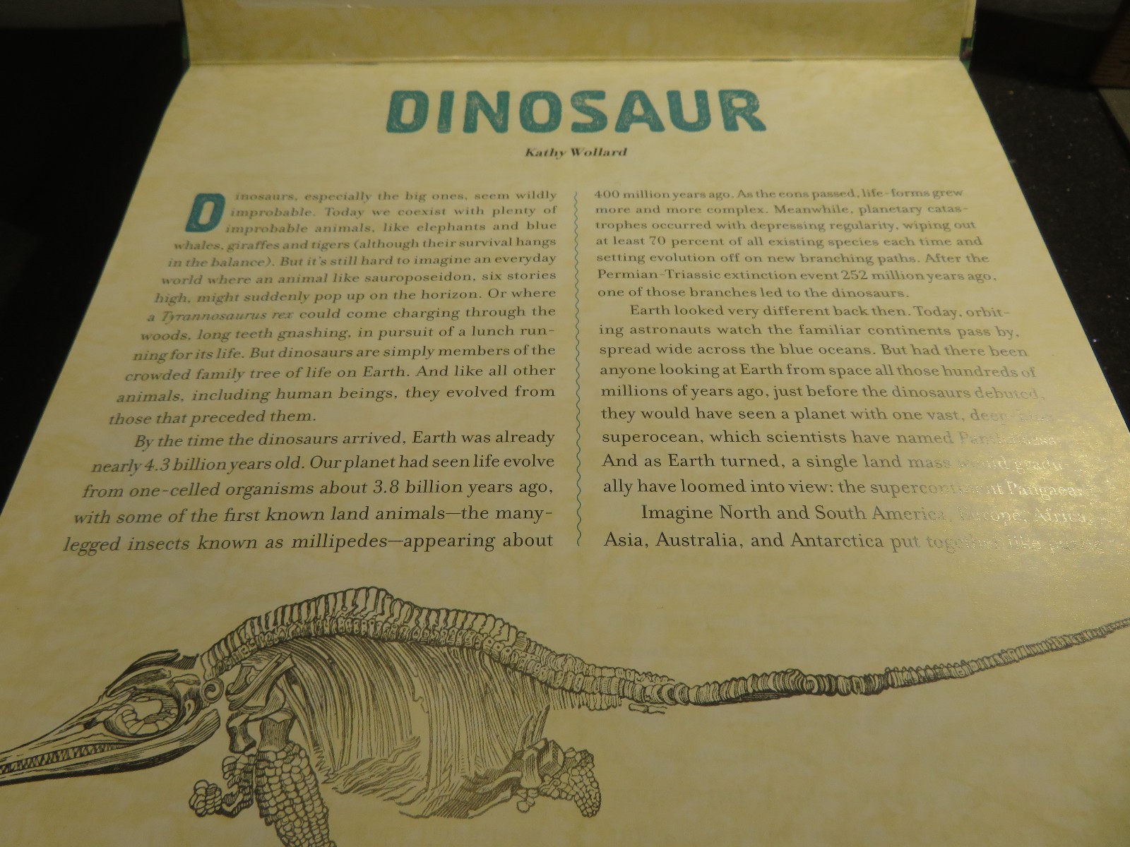 Dinosaur : A Photicular Book by Kathy Wollard and Dan Kainen 2018, Hardcover