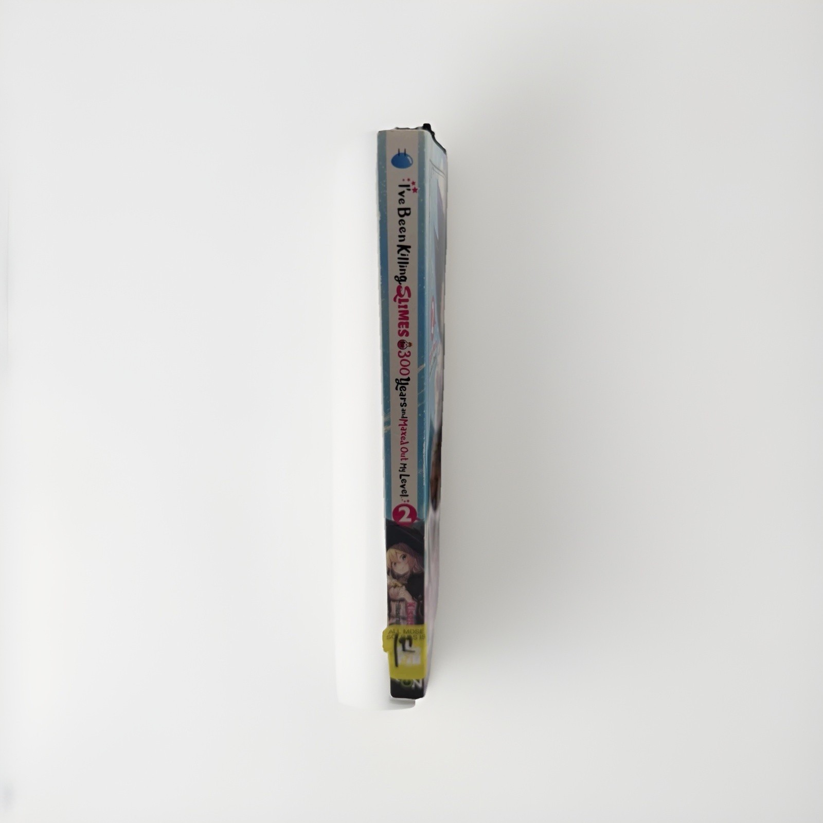 I’ve Been Killing Slimes for 300 Years Light Novel Vol 2 & 4 Bundle English Set