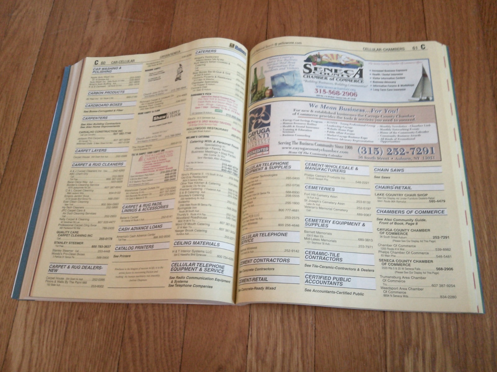 Cayuga Seneca County NY Phone Book Area Codes 315,607 White & Yellow Pages 2009