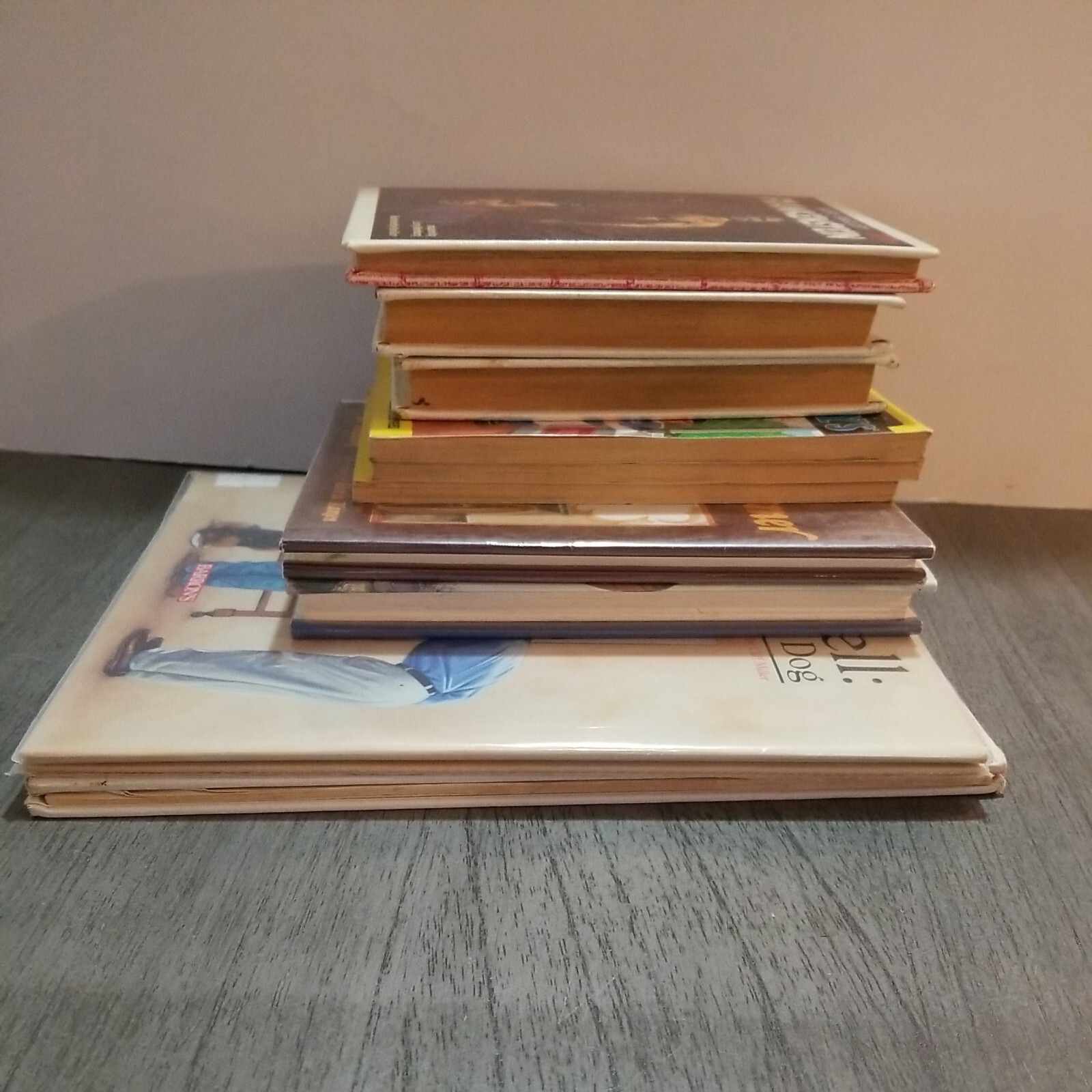 Lot of 10 Mixed Random Children’s Books and Young Adult Novels, Classic Stories