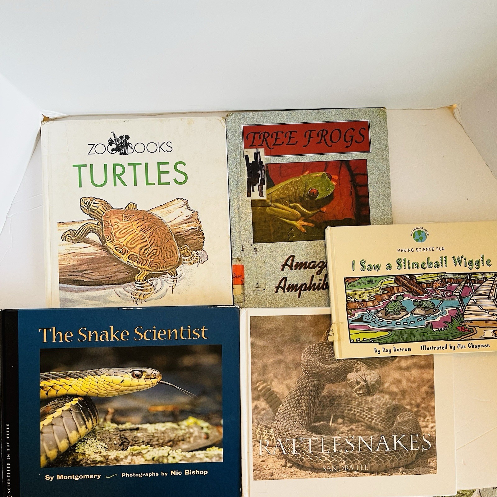 Lot 5 Reptile Amphibian Science Books Snake Turtle STEM Classroom Library