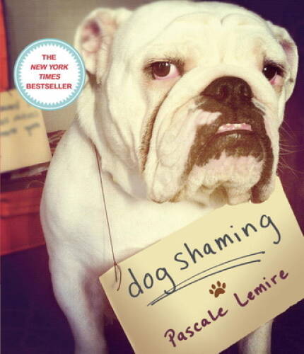 Dog Shaming – Paperback By Lemire, Pascale – GOOD