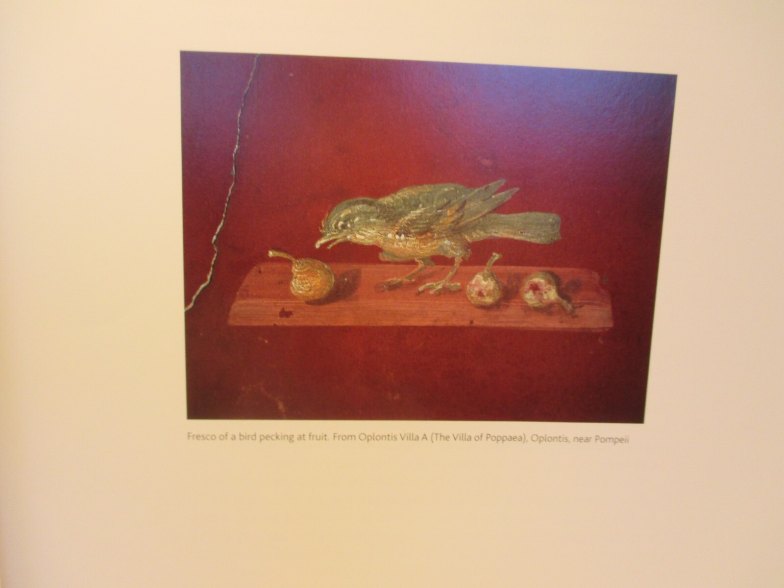 art / history LAST SUPPER IN POMPEII by PAUL ROBERTS & ASHMOLEAN MUSEUM pb 2019