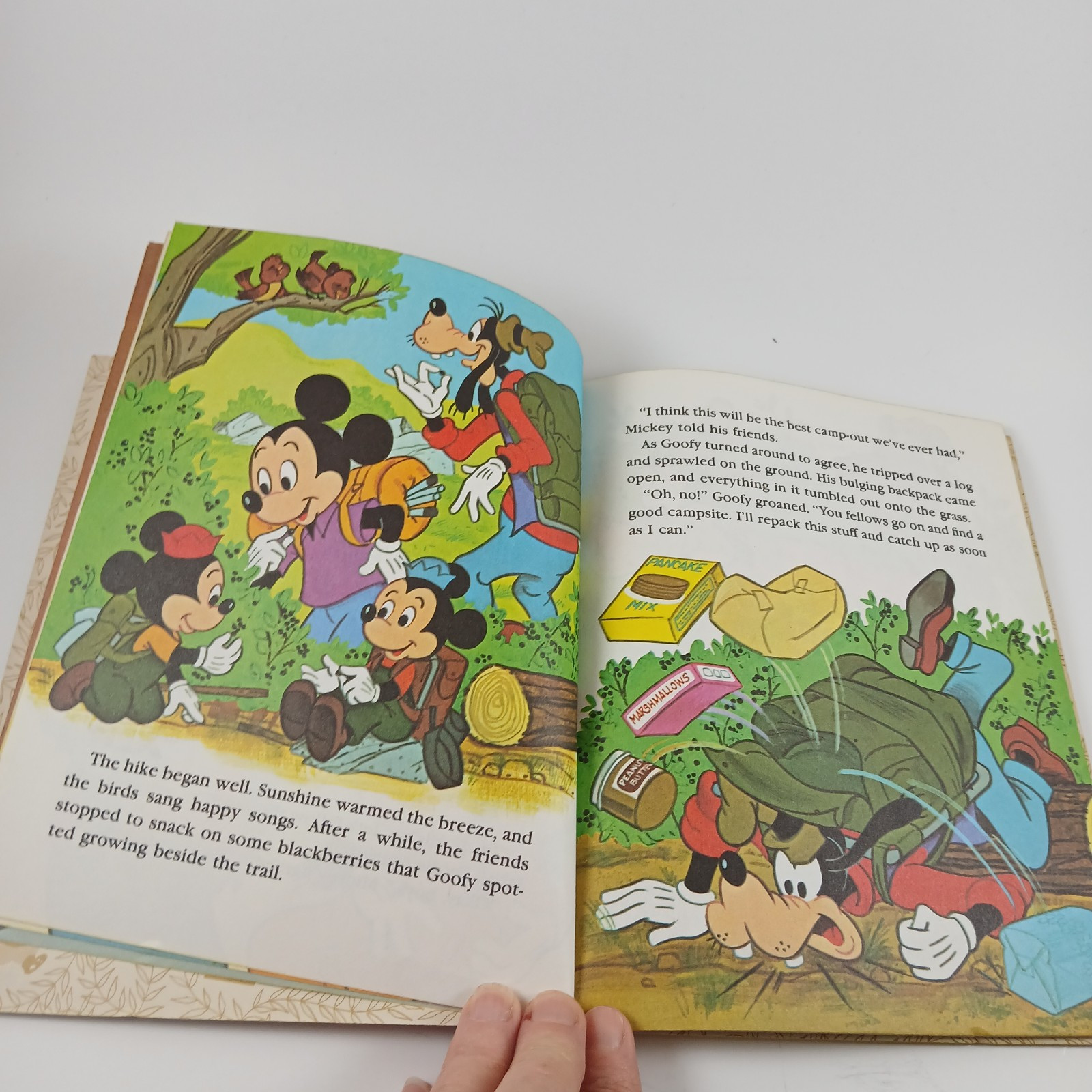 Vintage 1978 Walt Disney Mickey Mouse And Goofy Big Bear A Little Golden Book