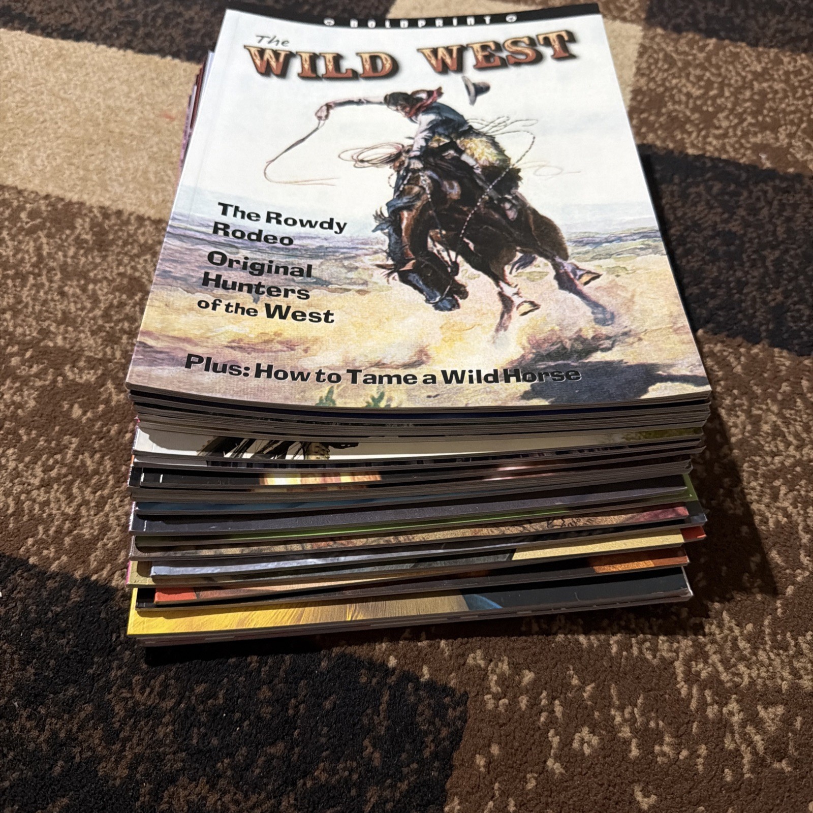 Lot of 21 Boldprint Steck Vaughn Books For Kids