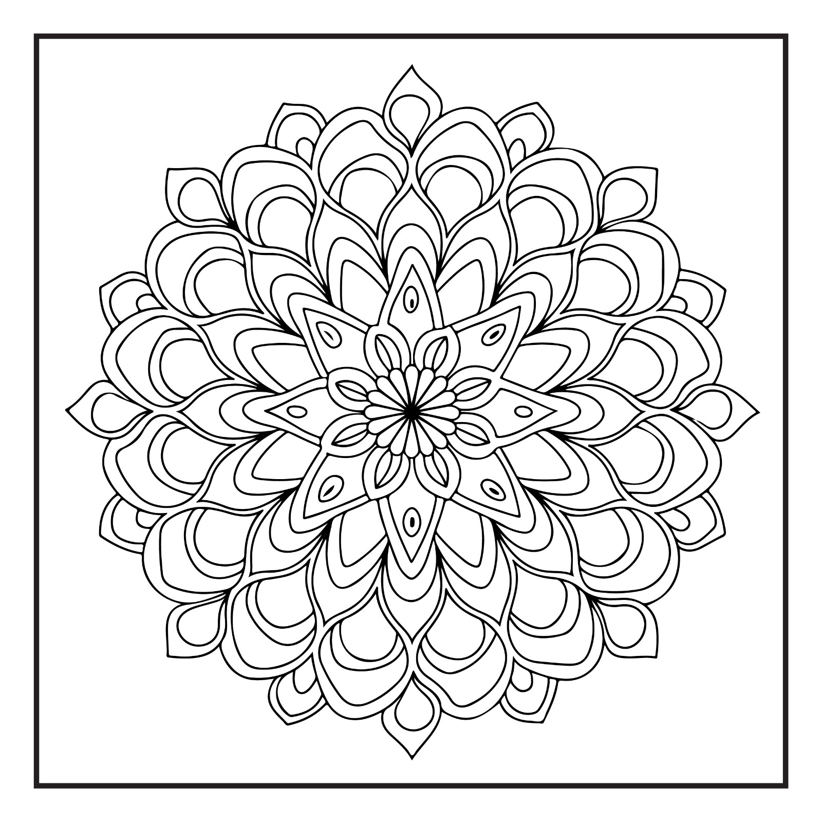 Rockridge Press Mindfulness Mandalas Coloring Book Spiral Bound Coloring Book