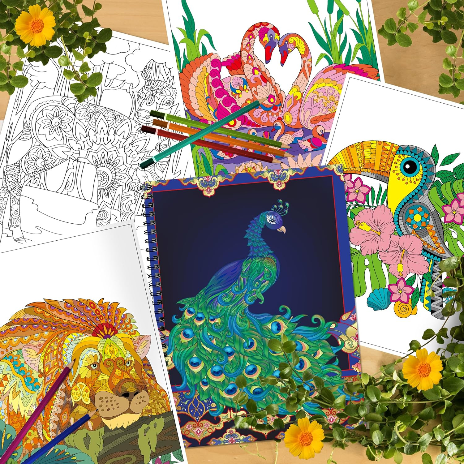 Adult Coloring Books Set:3 Coloring Books for Adults Animal Flowers & Other Them