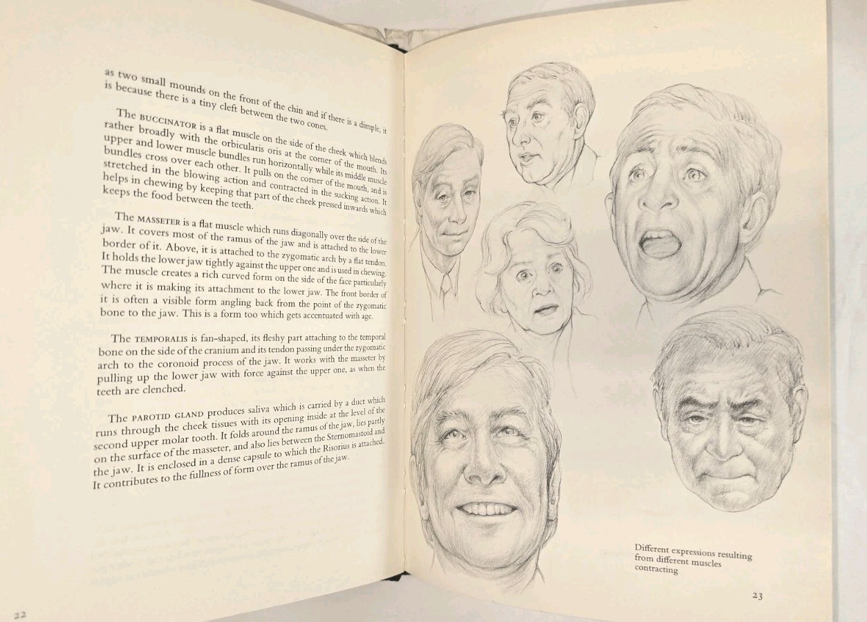 How To Draw The Human Head Techniques And Anatomy By Louise Gordon 1977