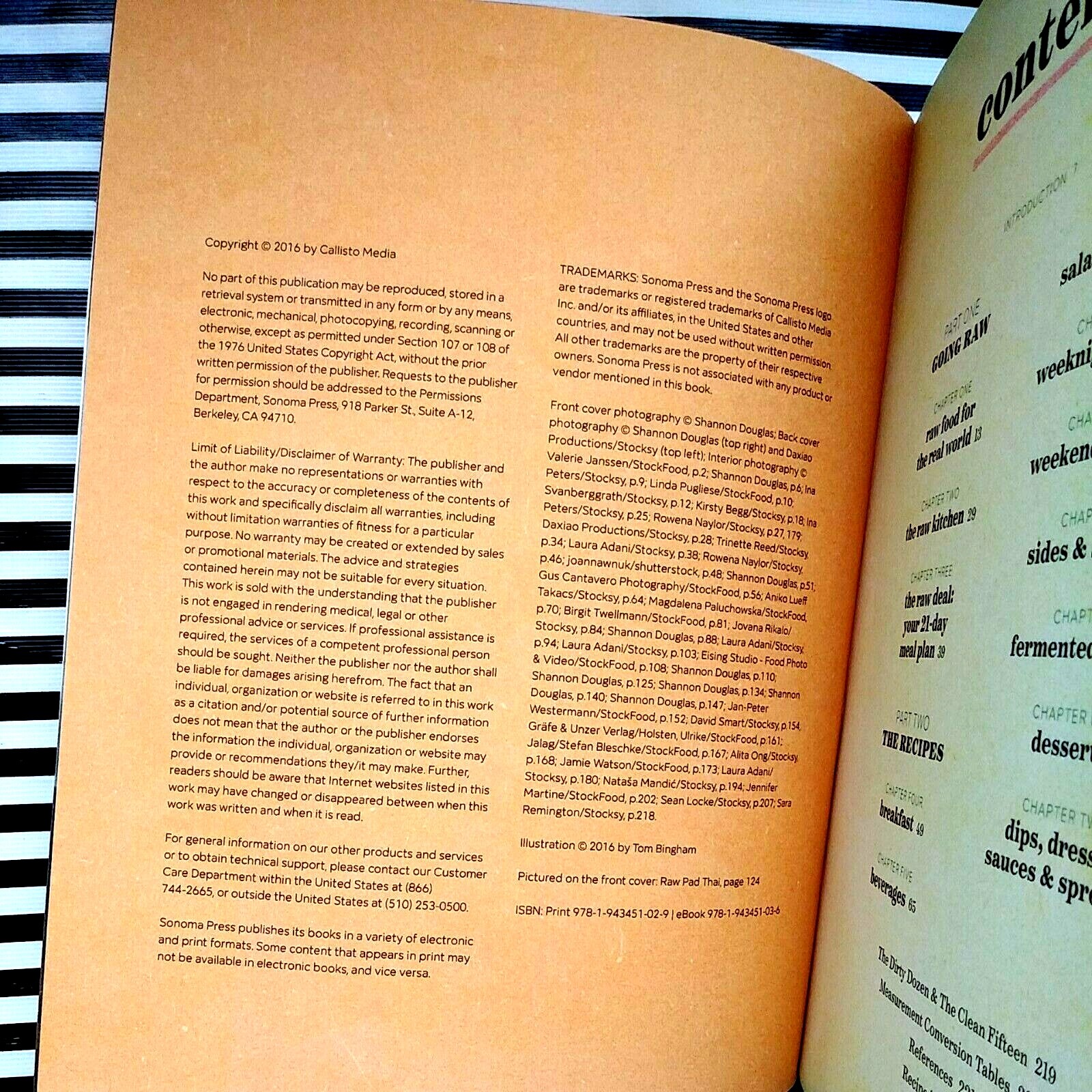 Raw Food Emily Monaco Sonoma Press Healthy Cookbook Paperback