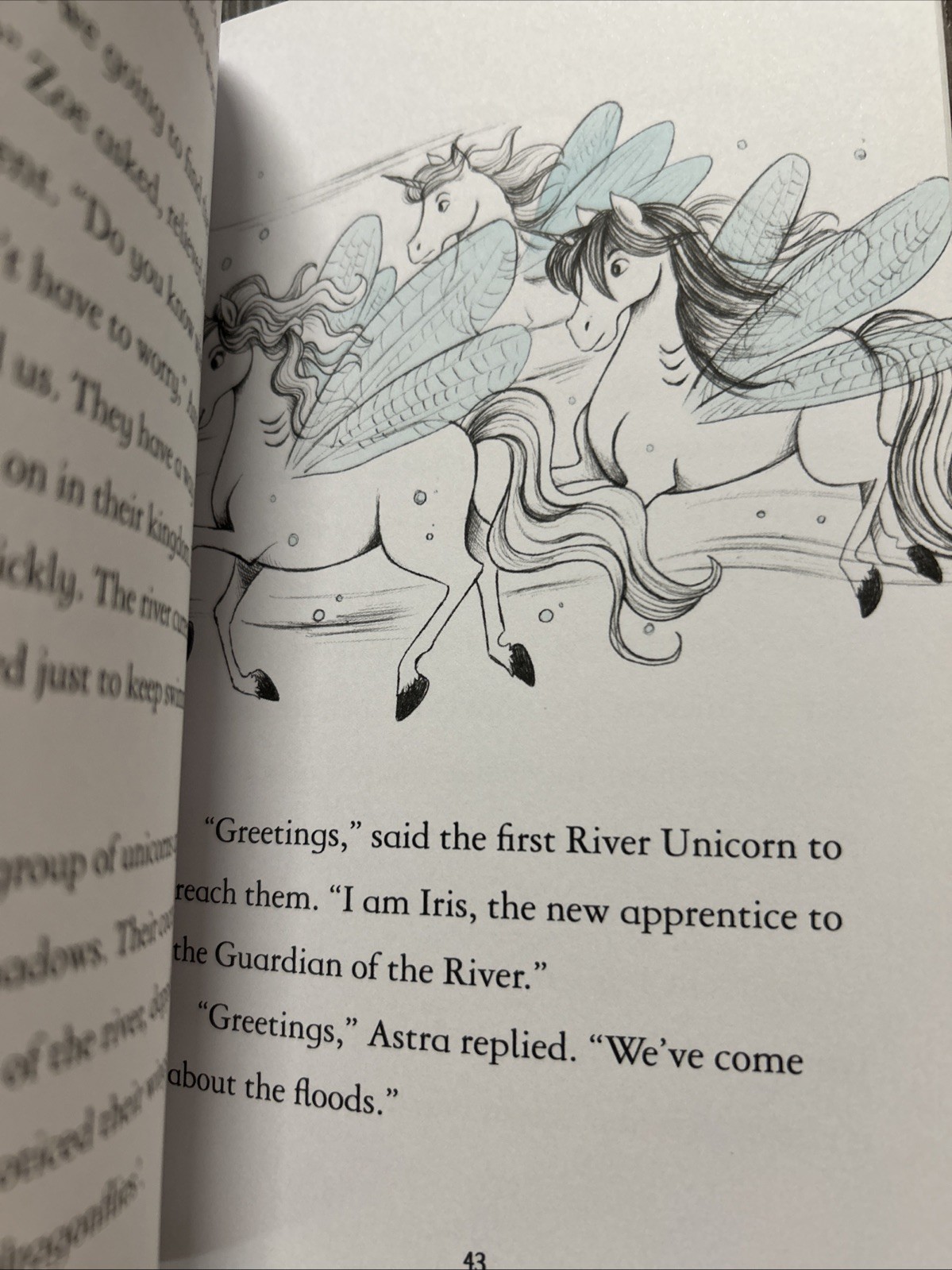 Fairy Unicorns Book Series Set of 9 Paperbacks by Zanna Davidson