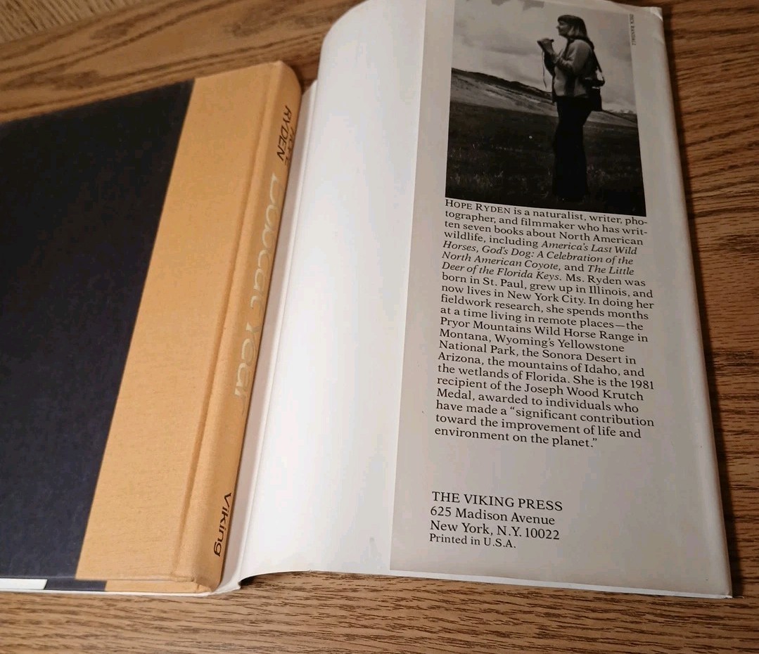 Bobcat Year By Hope Ryden 1981 Hardcover