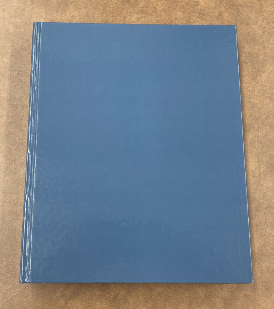 Paintings in the Louvre, Lawrence Gowing 1987 HC DJ