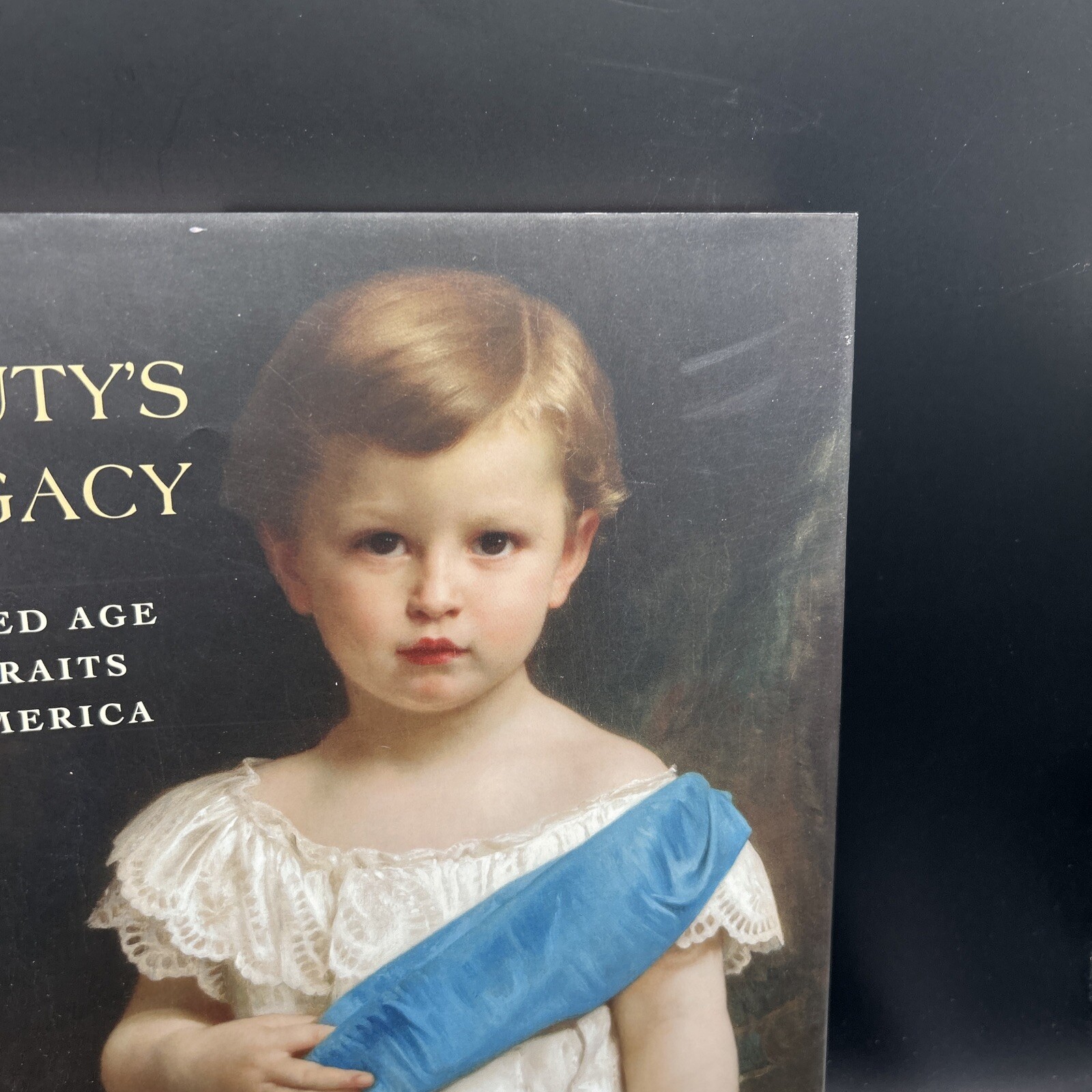 Beauty’s Legacy : Gilded Age Portraits in America Barbara Dayer G