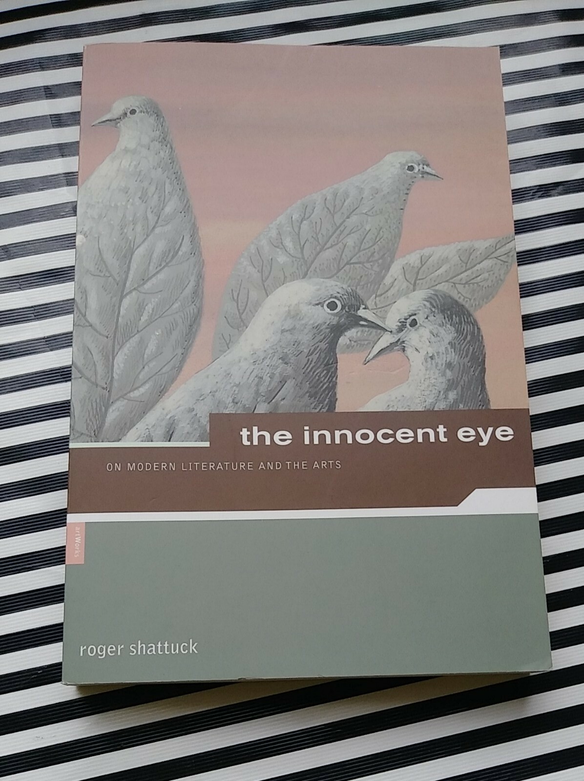 Roger Shattuck The Innocent Eye by Roger Shattuck Paperback Self Help Bestseller