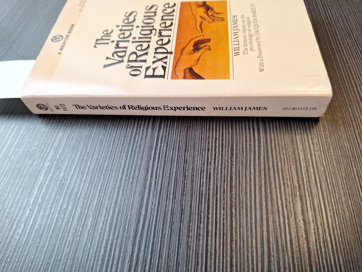 William James The Varieties of Religious Experience (Taschenbuch) 1958