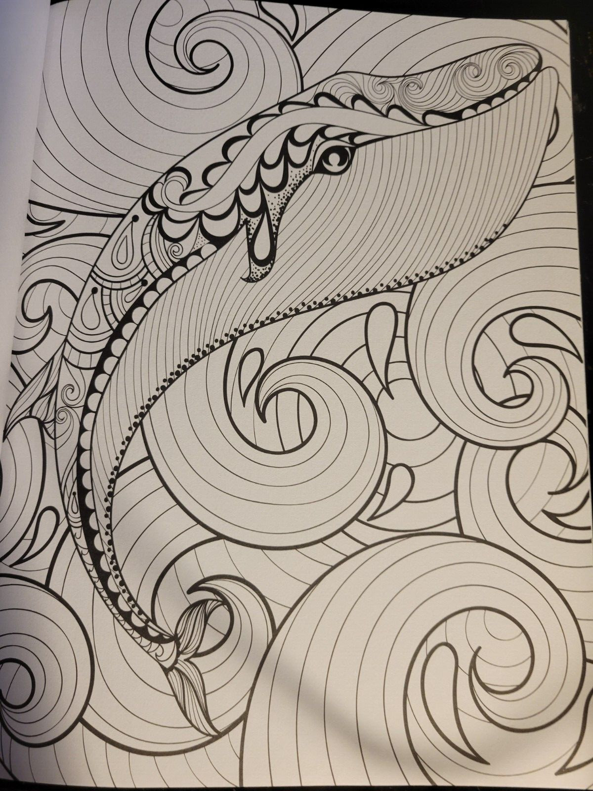 MAGNIFICENT CREATURES Vol 13 Adult Coloring Book by TOPIX MEDIA – 47 PRINTS