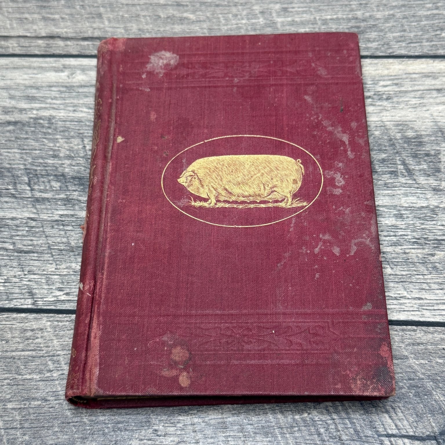 Swine Husbandry F.D. Coburn 1903 Revised Enlarged Illustrated Orange Judd Co.
