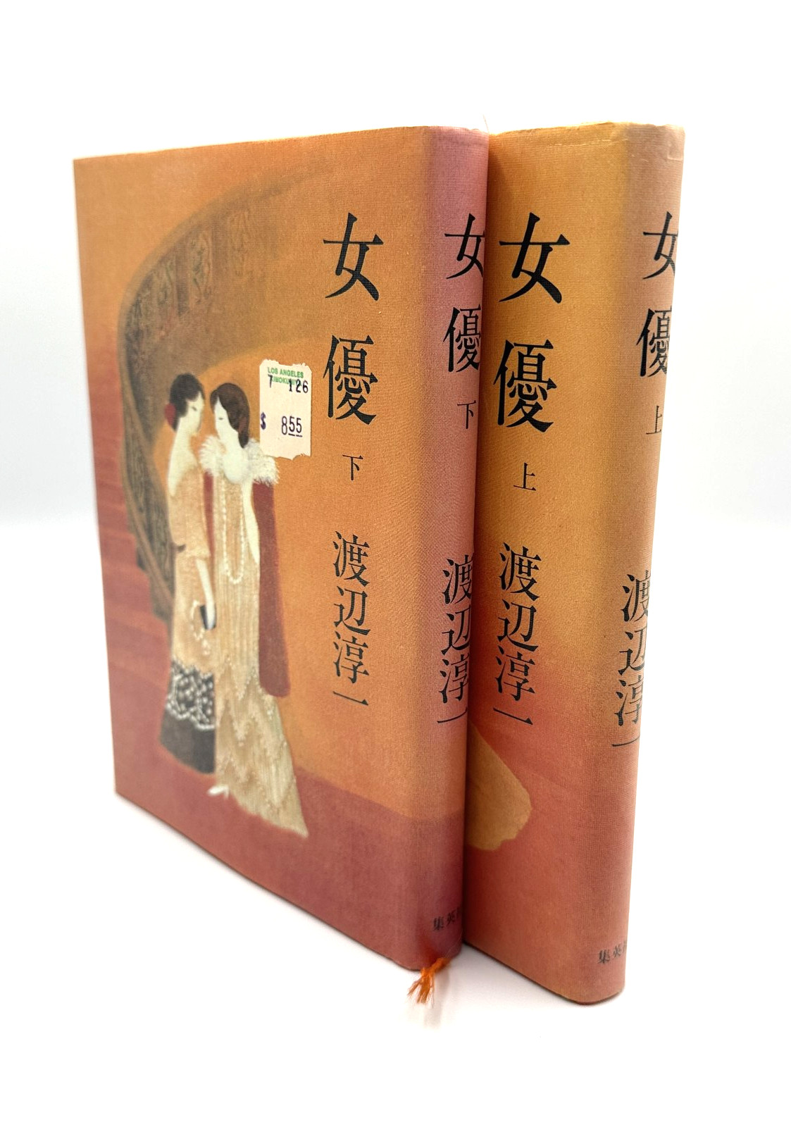 Joyū Actress Junichi Watanabe Japanese Book Set Vol 1 & 2 Shueisha