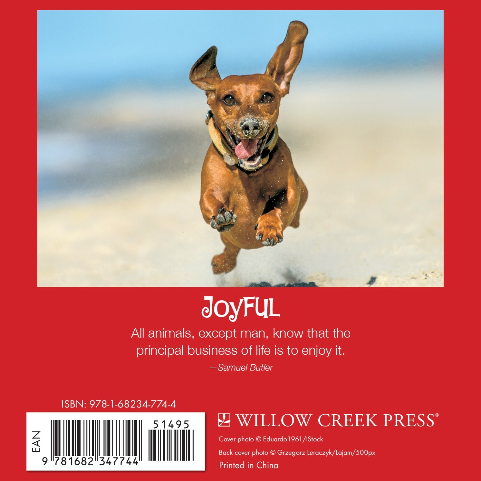 Dachshund Rules Hardcover Gift Book (Brand New) 5.5″ x 5.5″ (free shipping)