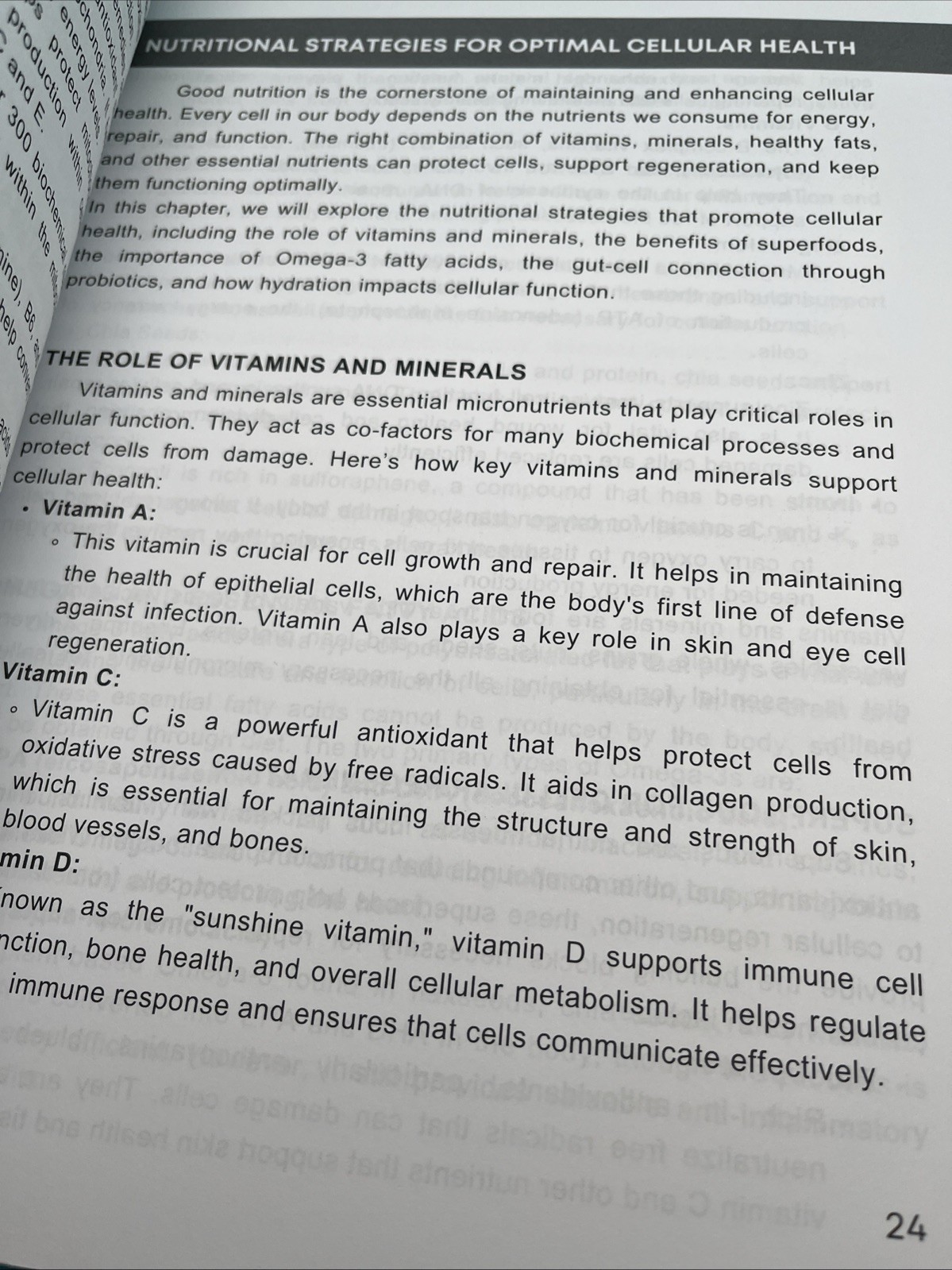 The Cellular Health Natural Remedies Encyclopedia 250 Herbal Healing Remedies