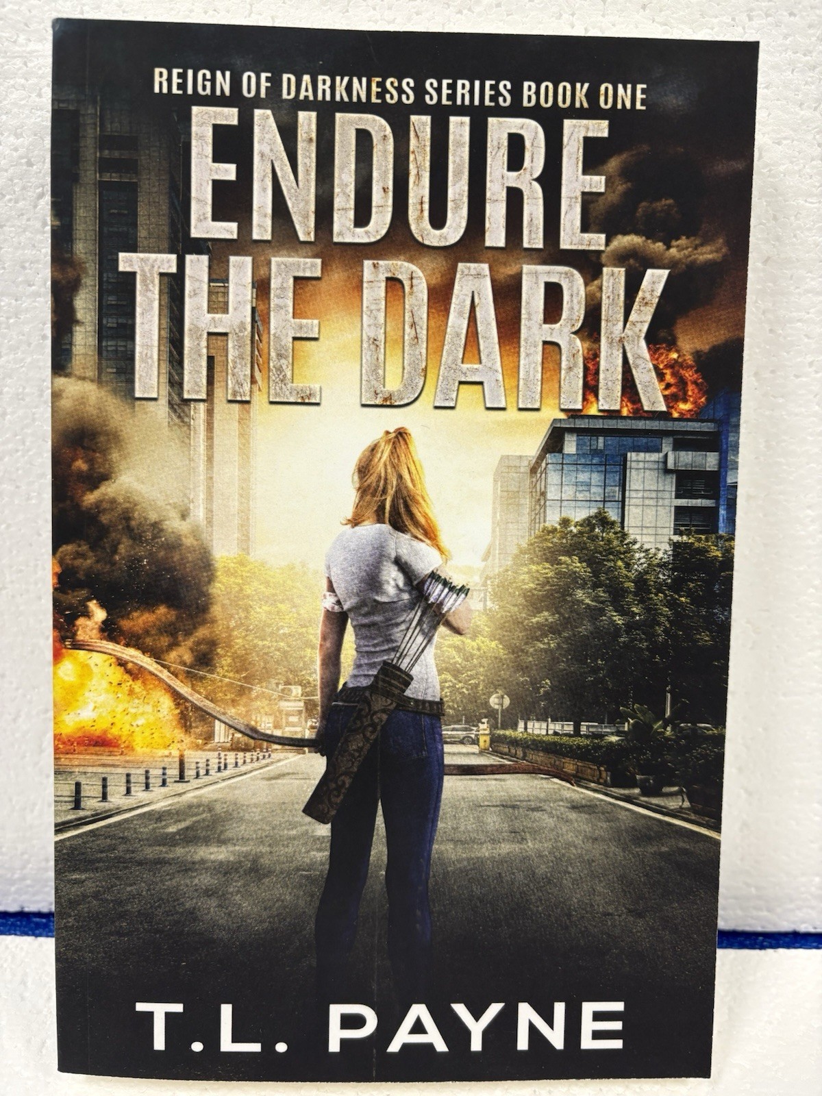Lot Of 6 Books By T. L. Payne: Rain Of Darkness (1,3,4) & Survive The Collapse